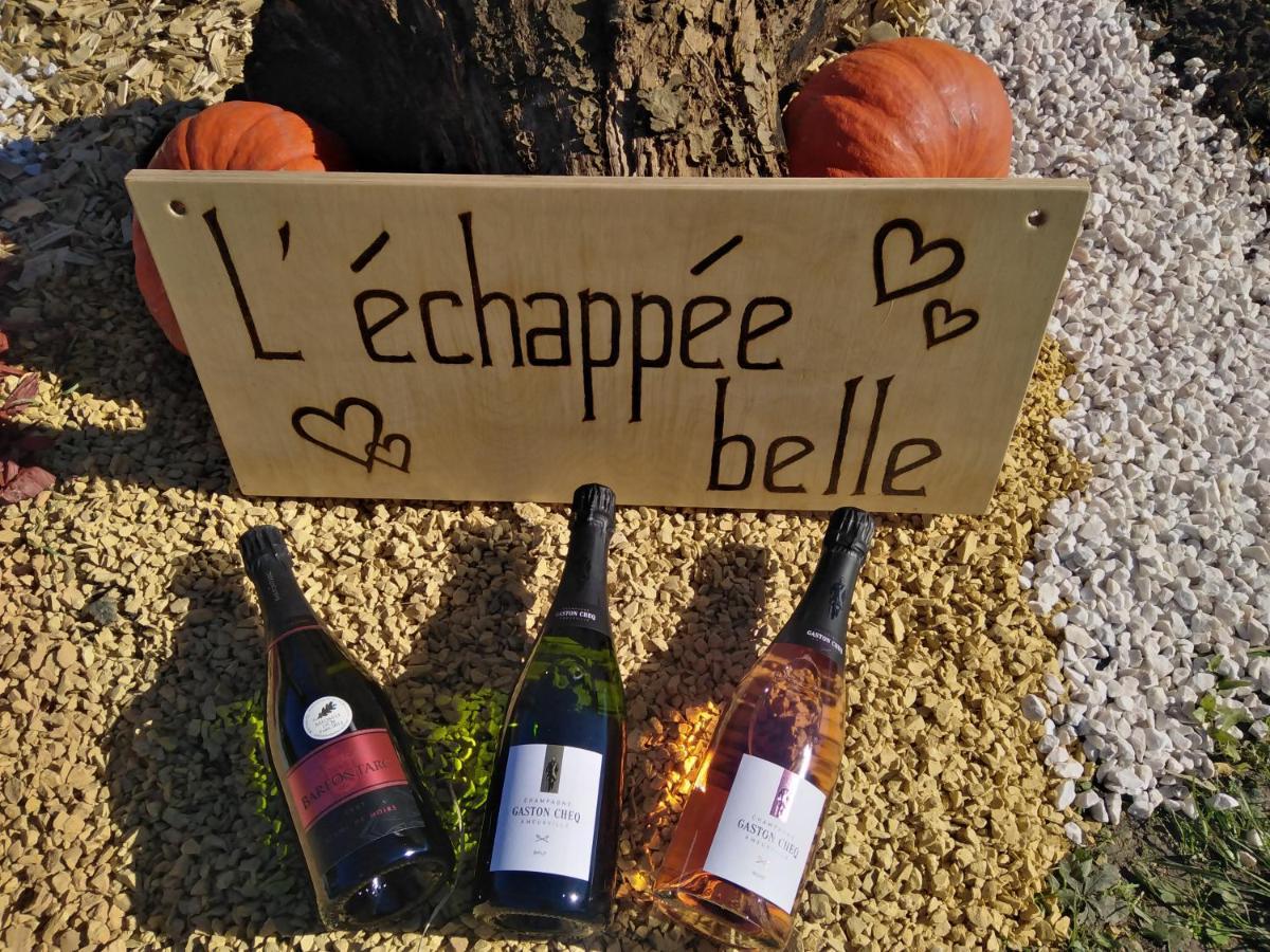 L'Echappee Belle En Champagne Villa Spoy  Ngoại thất bức ảnh