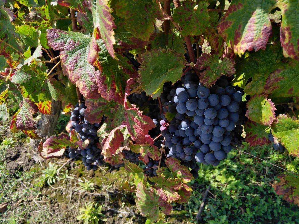 L'Echappee Belle En Champagne Villa Spoy  Ngoại thất bức ảnh