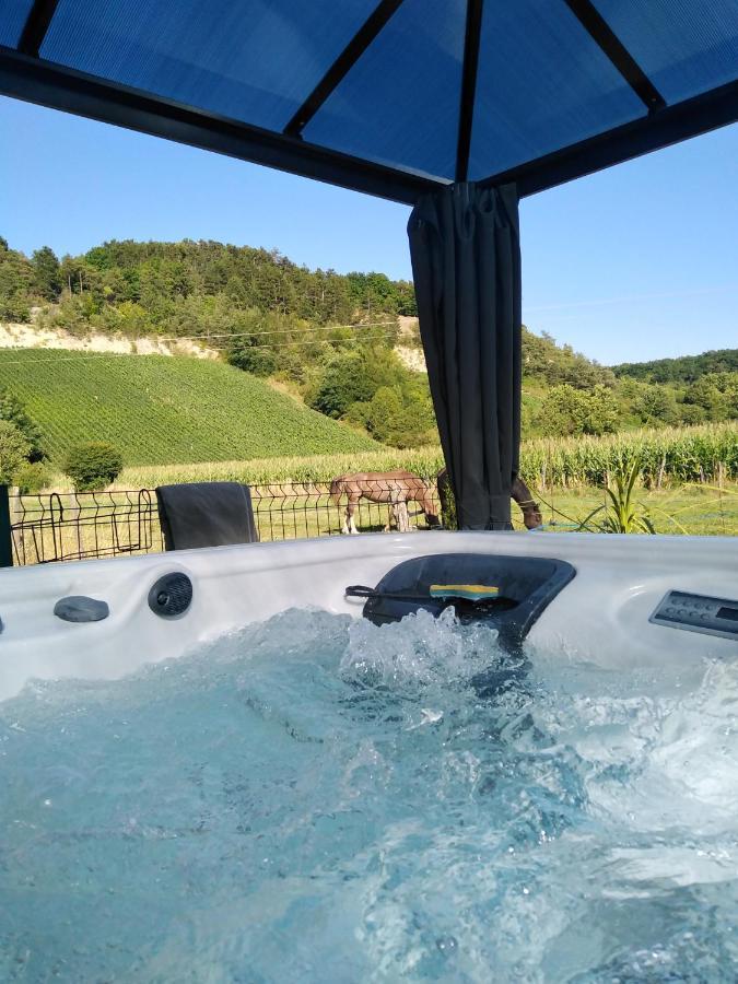 L'Echappee Belle En Champagne Villa Spoy  Ngoại thất bức ảnh